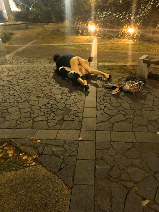 Japanese couple caught having sex in public park during New Year holidays 