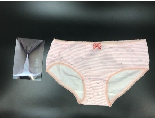 Used Stained Panties of a Japanese Girl Available at OtonaJP